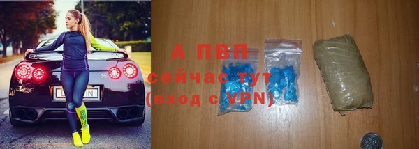 стаф Кулебаки