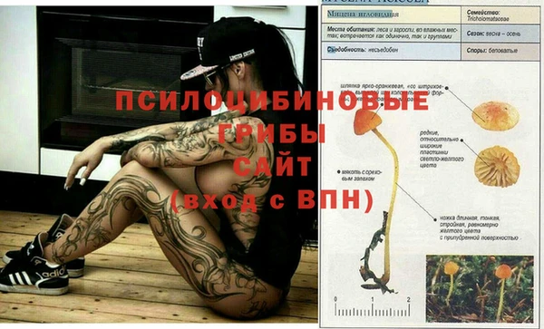 кокаин премиум Костерёво