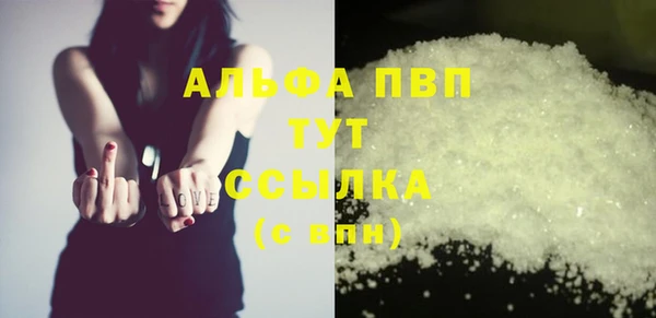 стаф Коряжма