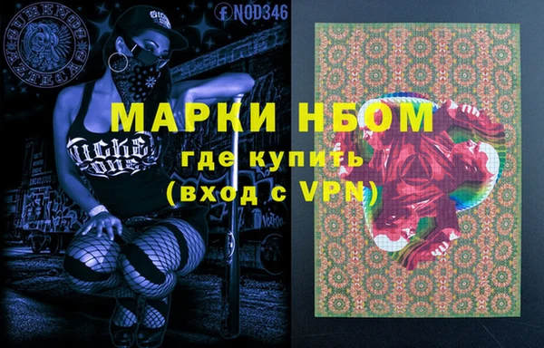 стаф Кулебаки