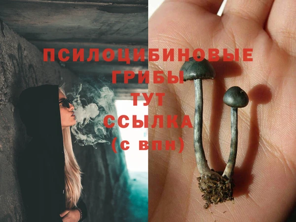 кокаин премиум Козловка