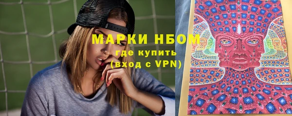 стаф Коряжма
