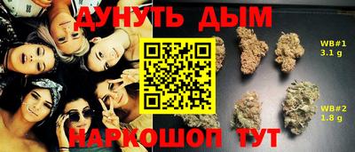 ГАЛЛЮЦИНОГЕННЫЕ ГРИБЫ Заволжье