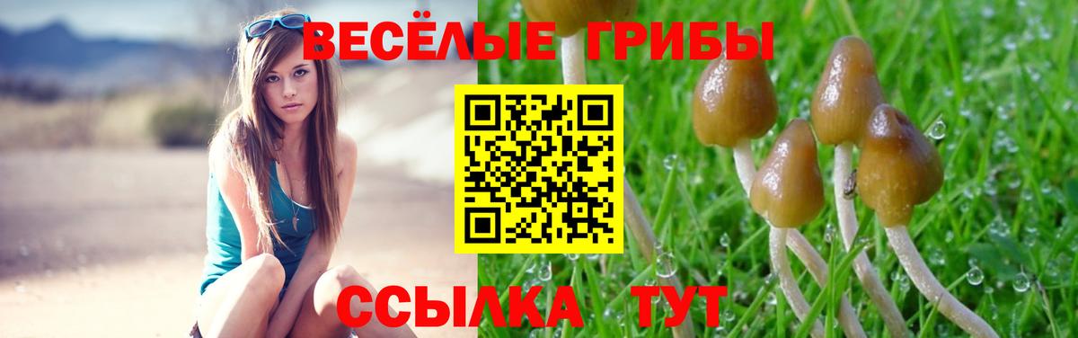 Галлюциногенные грибы Magic Shrooms  Вход с VPN  Михайловка  Псилоцибиновые грибы мухоморы 